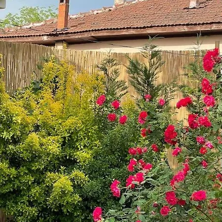 Villa Villa Bahar Sapanca - Muestakil Dubleks Villa Sapanca